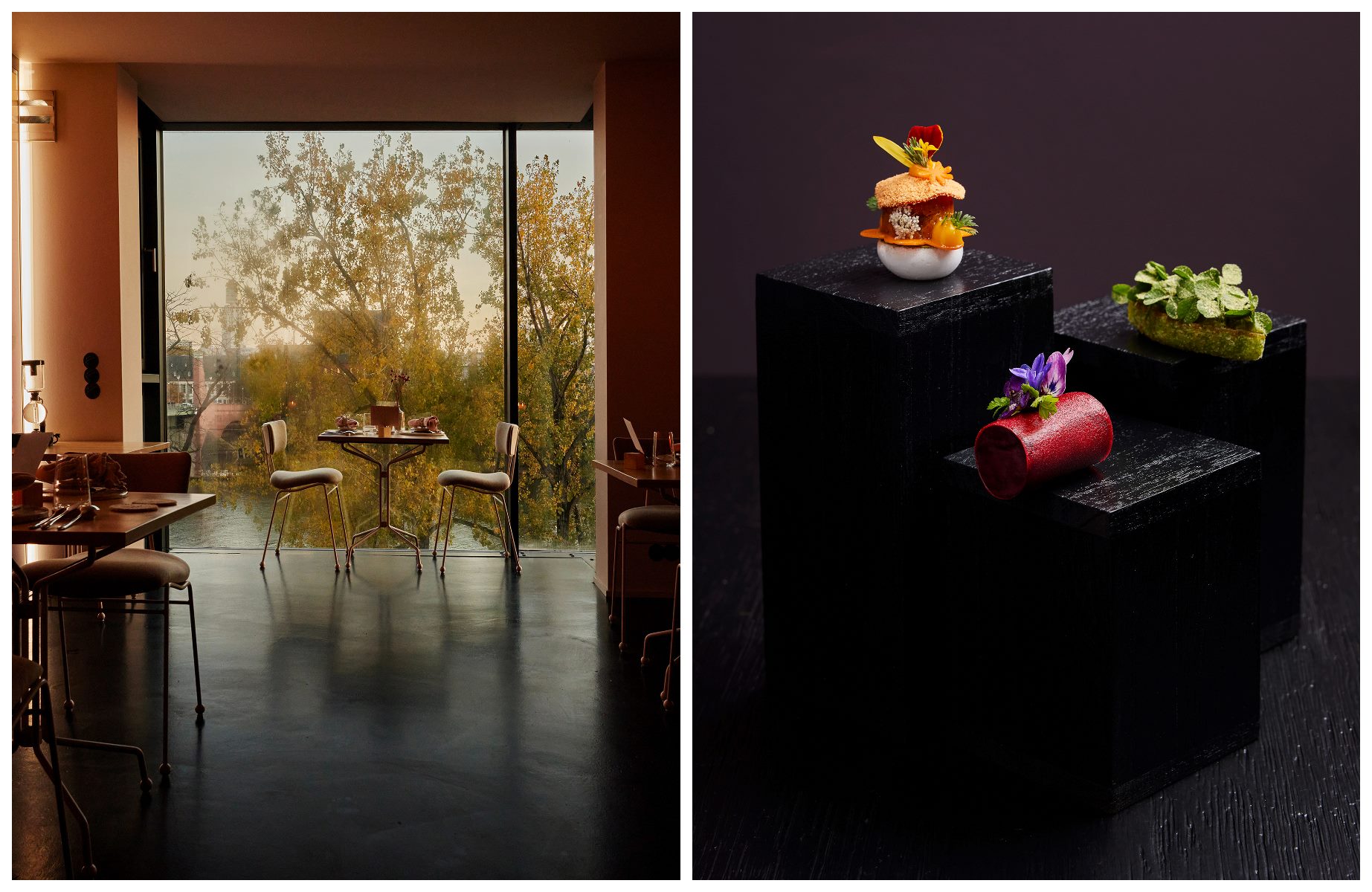 restaurant végétarien étoilé