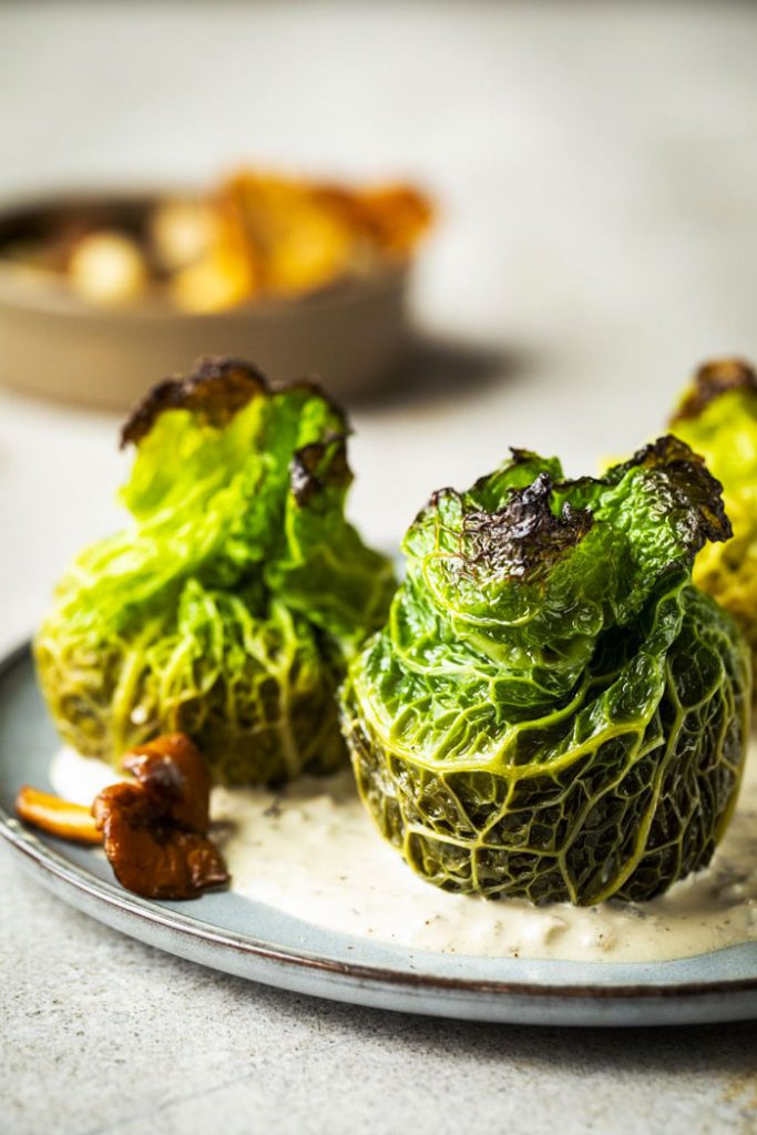 plat principal vegetarien